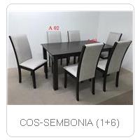 COS-SEMBONIA (1+6)